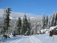 Höhenloipe im Bayerischen Wald in der Nähe der Ferienwohnung FeWo Moosau in D-94258 Frauenau &copy; Gine Selle, Frauenau