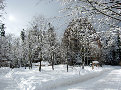 Baumei am Waldwipfelpfad in Neuschönau im Nationalpark Bayerischer Wald in der Nähe der Ferienwohnung FeWo Moosau in D-94258 Frauenau &copy; Gine Selle, Frauenau