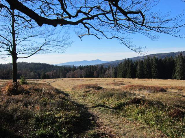 Schachten, die Perlen im Waldmeer in der Nähe der Ferienwohnung FeWo Moosau in D-94258 Frauenau &copy; Gine Selle, Frauenau