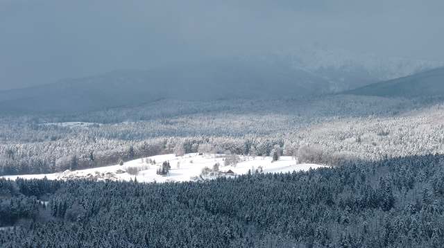 Winterlandschaft im Nationalpark Bayerischer Wald in der Nähe der Ferienwohnung FeWo Moosau in D-94258 Frauenau &copy; Gine Selle, Frauenau